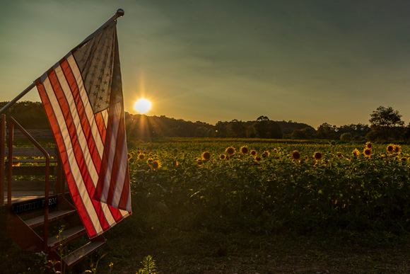 American flag in front of a field of sunflowers