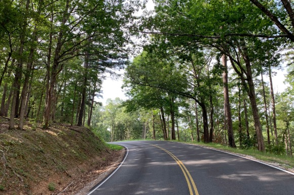 view of a highway through a forest