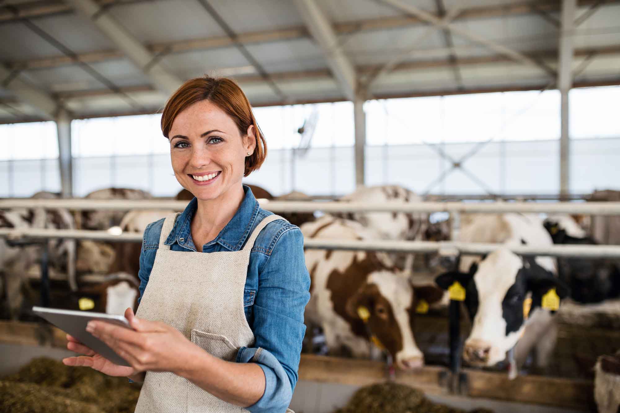 Farmer-with-dairy-cows