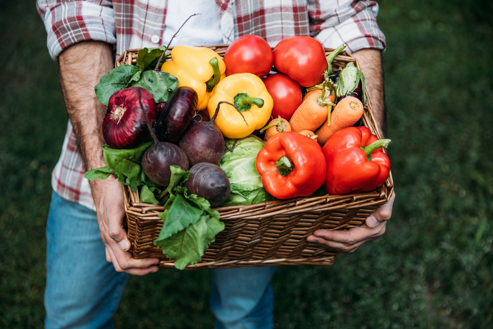 basket-full-of-vegies