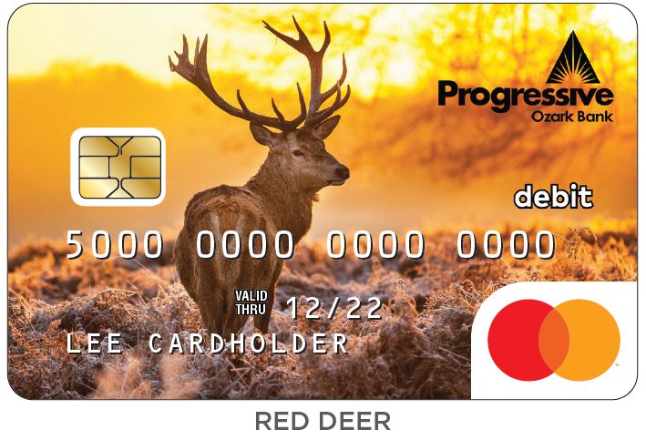 Progressive Ozark Bank Deer